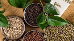 Giá nông sản hôm nay 18.8.2025: Cà phê giữ đỉnh, tiêu tăng sốc