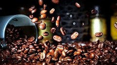 Giá cà phê hôm nay 19.8.2025: Robusta nội địa tăng, quốc tế chốt lời