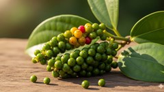 Giá hồ tiêu hôm nay 4.9.2025: Tăng ngược dòng, chạm ngưỡng 155.000 đồng/kg