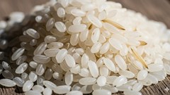 Giá lúa gạo hôm nay 4.9.2025: Bình ổn trong nước, xuất khẩu neo vững