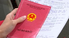Cha mẹ nhập khẩu cho con muộn 2025 có bị phạt không?