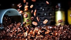 Giá cà phê hôm nay 12.9.2025: Trong nước điều chỉnh, quốc tế tích cực