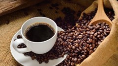 Giá cà phê hôm nay 14.9.2025: Robusta và Arabica neo giá kỷ lục