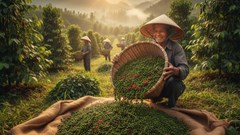 Giá hồ tiêu hôm nay 21.9.2025: Dao động 147.000 – 151.000 đồng/kg