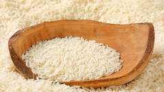 Giá lúa gạo hôm nay 24.9.2025: Xuất khẩu vững, thị trường nội địa chậm lại