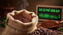 Giá cà phê hôm nay 28.9.2025: dao động 111.000 – 114.500 đồng/kg