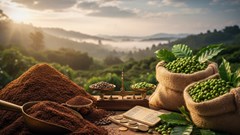 Giá cà phê hôm nay 30.9.2025 dao động quanh 111.000 – 114.800 đồng/kg