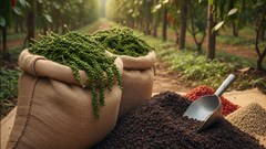 Giá hồ tiêu hôm nay 3.10: Khả năng phục hồi sau phiên giảm