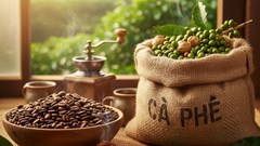 Giá cà phê hôm nay 8.10: Robusta tiến sát 117.000 đồng/kg