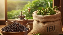 Giá hồ tiêu hôm nay 8.10: Ổn định quanh 150.000 đồng/kg