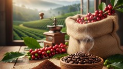 Giá cà phê hôm nay 11.10: Tăng nhẹ tại Tây Nguyên, vượt 118.000 đồng/kg