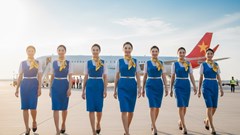 Giá vé máy bay hôm nay 12.10: Nhiều tuyến giảm nhẹ, cơ hội săn vé rẻ