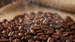 Giá cà phê hôm nay 14.10: trong nước chạm 118.500 đồng/kg