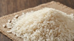 Giá lúa gạo hôm nay 14.10: Tăng nhẹ ở phân khúc cao cấp