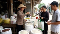 Giá lúa gạo hôm nay 5.12: Nội địa ổn định, xuất khẩu giảm nhẹ