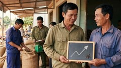 Giá cà phê hôm nay 6.12: Bật tăng sau loạt phiên giảm sâu