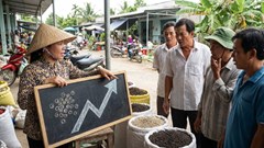 Giá hồ tiêu hôm nay 6.12: Giữ vững mốc 150.000 đồng/kg