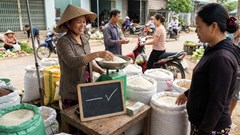 Giá lúa gạo hôm nay 6.12: Nội địa ổn định, xuất khẩu giảm nhẹ