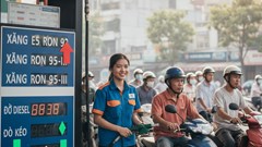 Giá xăng dầu hôm nay 8.12: ổn định, theo sát biến động toàn cầu