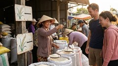 Giá lúa gạo hôm nay 9.12: Nội địa ổn định, gạo thơm tăng giá