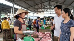 Giá heo hơi hôm nay 11.12: cao nhưng cầu mua chững lại