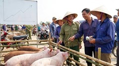 Heo hơi hôm nay 13.12: Giá tăng lan rộng khắp ba miền
