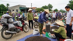 Giá hồ tiêu hôm nay 18.12: Giữ nguyên quanh 146.000 đồng/kg