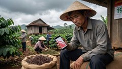 Giá cà phê hôm nay 19.12: Giảm sâu xuống sát 89.000 đồng/kg