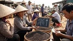 Giá hồ tiêu hôm nay 20.12: Đi ngang, thị trường chờ lực đẩy mới