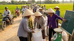 Giá lúa gạo 21.12: Ổn định trước kỳ nghỉ cuối năm