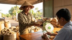 Giá cà phê hôm nay 23.12: Ổn định quanh 92.000 đ/kg