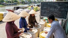 Giá lúa gạo hôm nay 23.12: Giao dịch chậm, phân khúc cao cấp vẫn hút hàng