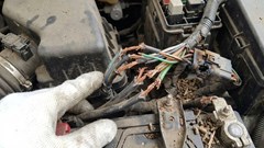 Khoang máy ô tô có thực sự là nơi chuột thích trú ẩn?