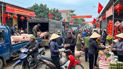 Giá heo hơi hôm nay 26.12: Vẫn cao, chưa có dấu hiệu hạ nhiệt