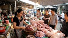 Giá heo hơi hôm nay 27.12: Thị trường cuối năm vẫn “nóng”