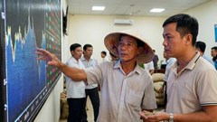 Giá cà phê hôm nay 28.12: Neo cao trên mốc 98.000 đ/kg