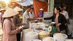 Giá lúa gạo hôm nay 29.12: Bảng giá mới nhất trước dịp nghỉ lễ