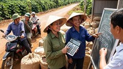 Giá cà phê hôm nay 1.1.2026: Tăng hay giảm?