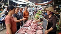 Giá heo hơi 1.1.2026: Thị trường giữ nhịp cao đầu năm