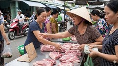 Giá heo hơi hôm nay 2.1: Ba miền đi ngang sau Tết Dương lịch