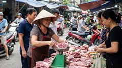 Giá heo hơi hôm nay 4.1 có biến động gì sau Tết Dương lịch?