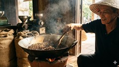 Giá cà phê hôm nay 7.1: Giữ vững mốc 98.000 đồng/kg