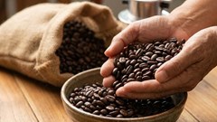 Giá cà phê hôm nay 11.1.2026 điều chỉnh nhẹ