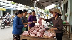 Heo hơi hôm nay 11.1: Xu hướng tăng lan rộng