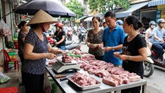 Giá heo hơi hôm nay 12.1: Thị trường giữ nhịp ổn định