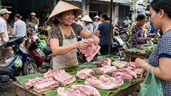 Giá heo hơi hôm nay 16.1: Nhiều nơi tăng nhẹ