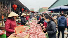 Giá heo hơi hôm nay 19.1: Miền Bắc giữ đỉnh, miền Nam tăng nhẹ