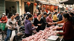 Giá heo hơi 21.1.2026: Miền Bắc chạm mốc 77.000 đồng/kg