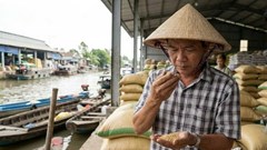 Giá lúa gạo hôm nay 21.1.2026: Thị trường lặng sóng