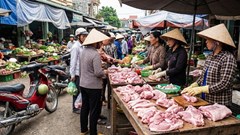 Giá heo hơi 22.1.2026: Nhiều nơi giữ đỉnh 77.000 đồng/kg